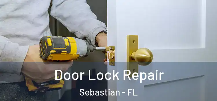 Door Lock Repair Sebastian - FL