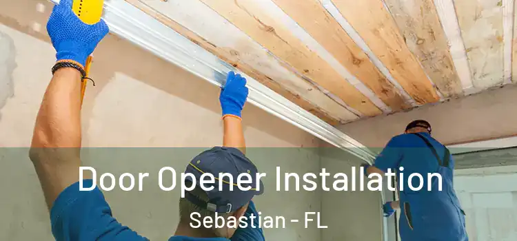  Door Opener Installation Sebastian - FL