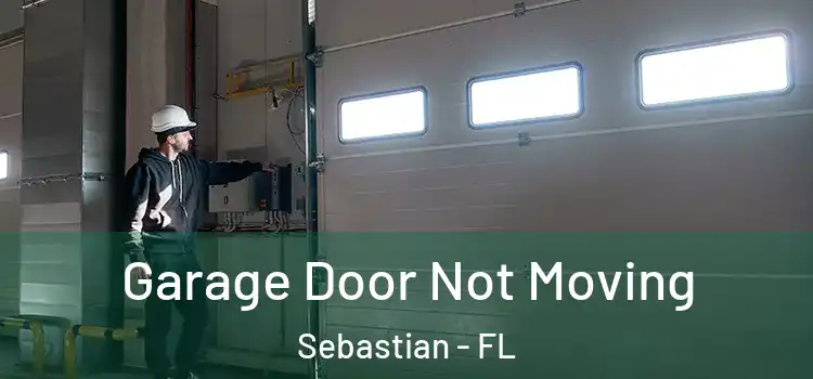  Garage Door Not Moving Sebastian - FL