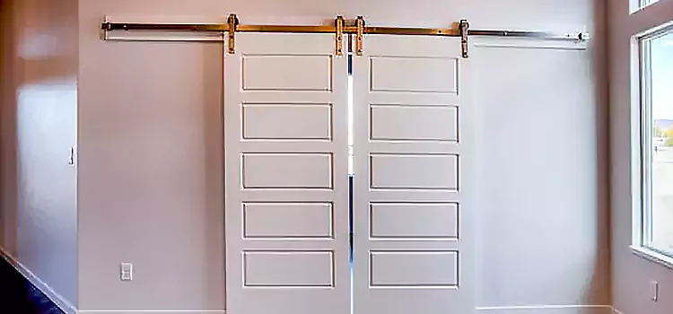 Glass Barn Door with Installation Hardware Kit Sebastian