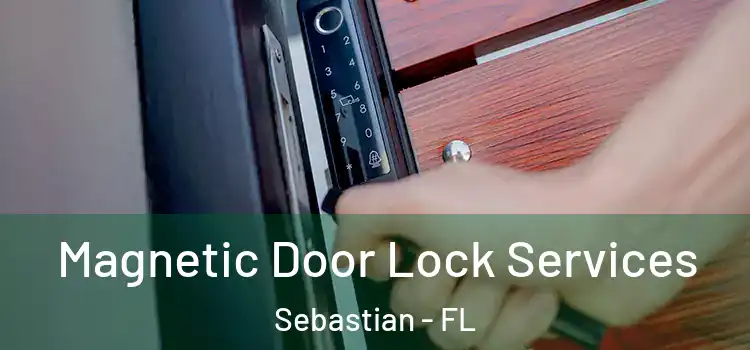  Magnetic Door Lock Services Sebastian - FL