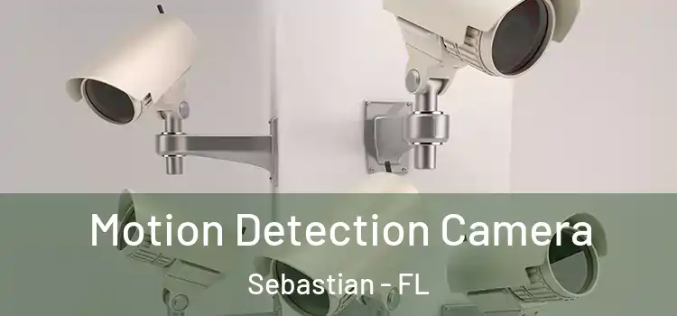  Motion Detection Camera Sebastian - FL